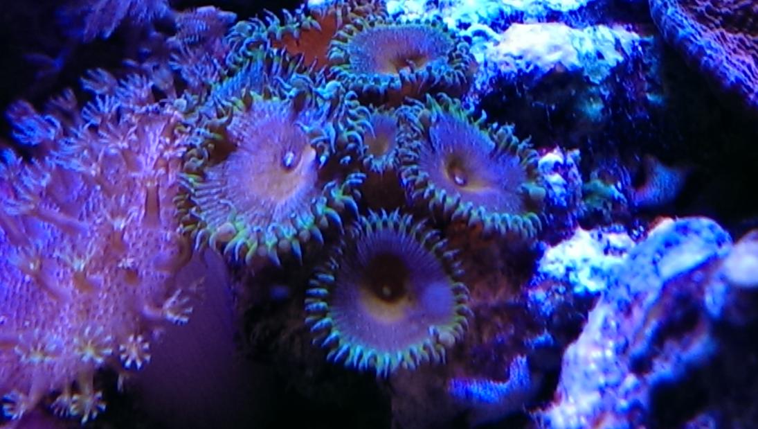 IMAG0025.jpg