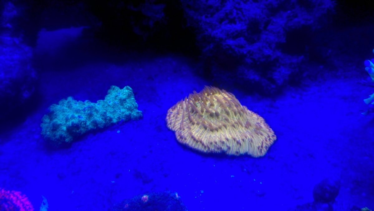 IMAG00253.jpg