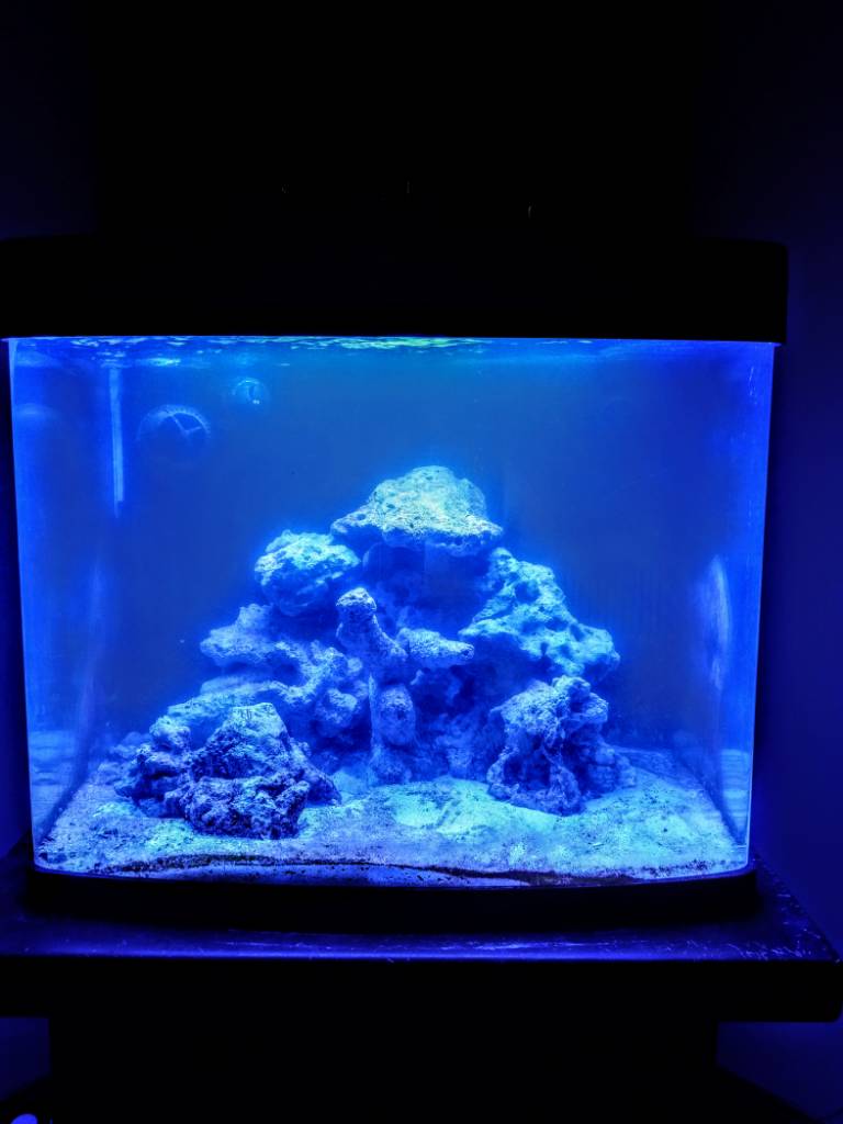 IMAG0030.jpg