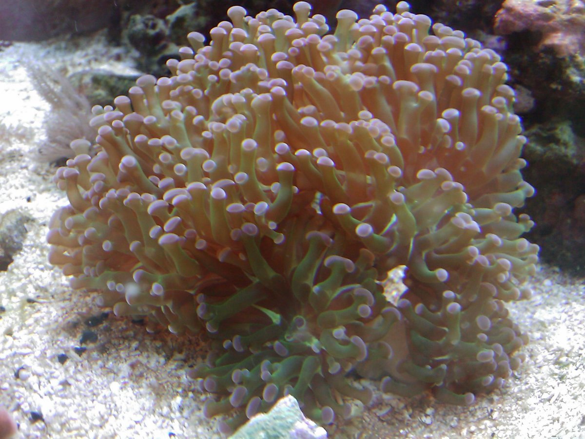 IMAG0030.jpg