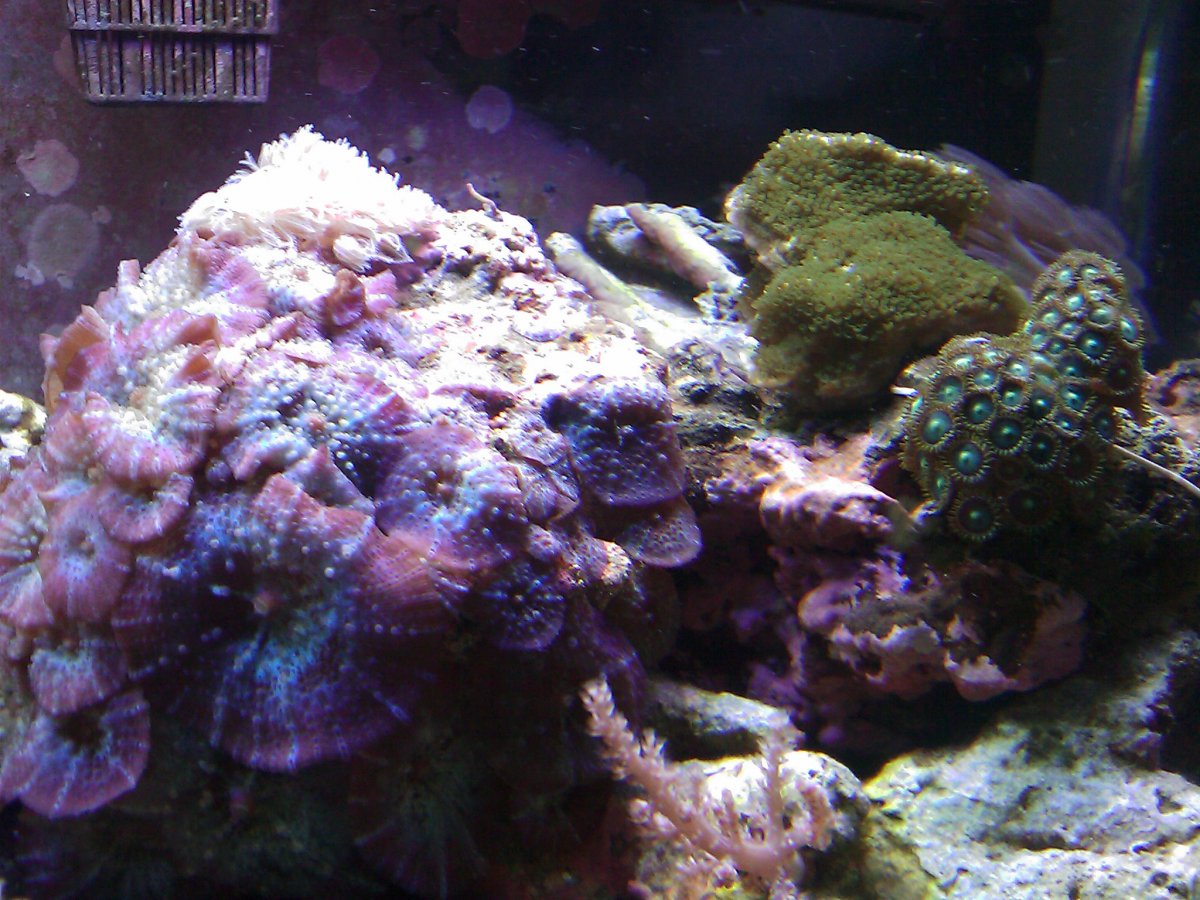 IMAG0033.jpg