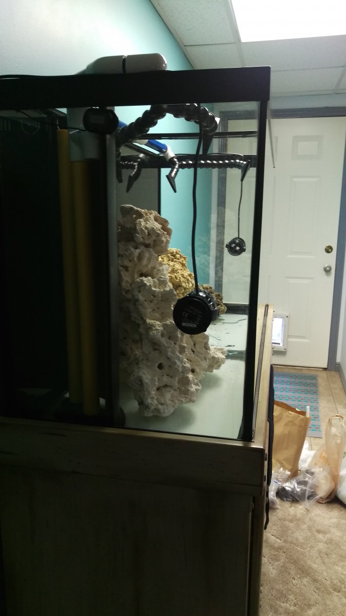 IMAG0034.jpg