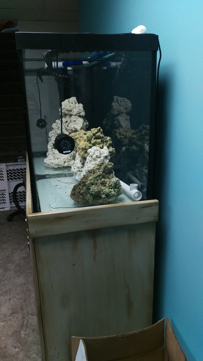 IMAG0035.jpg