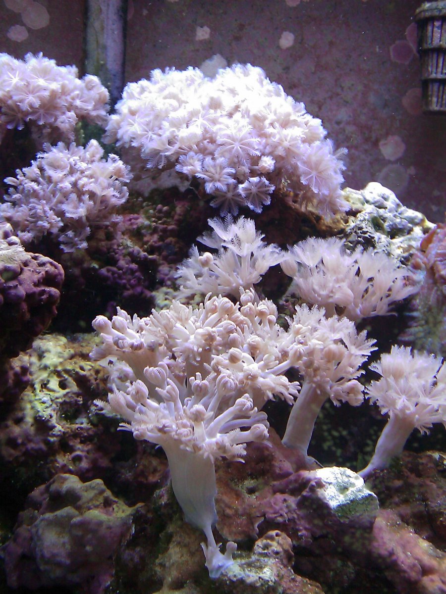IMAG0035.jpg