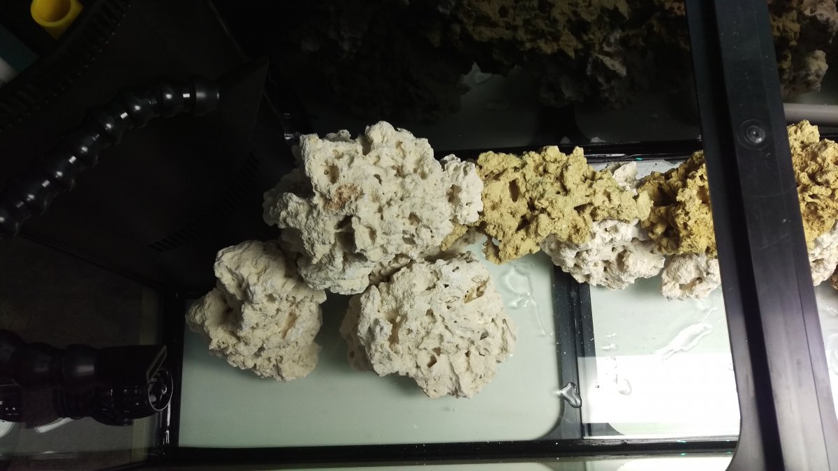 IMAG0036.jpg