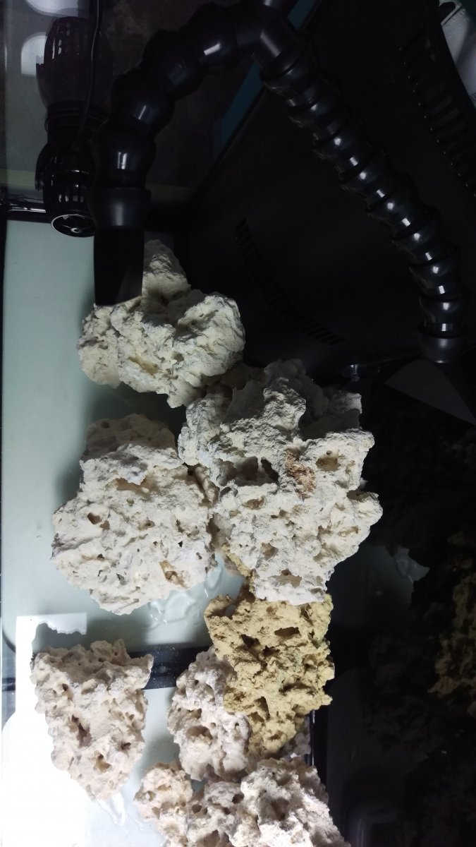 IMAG0045.jpg