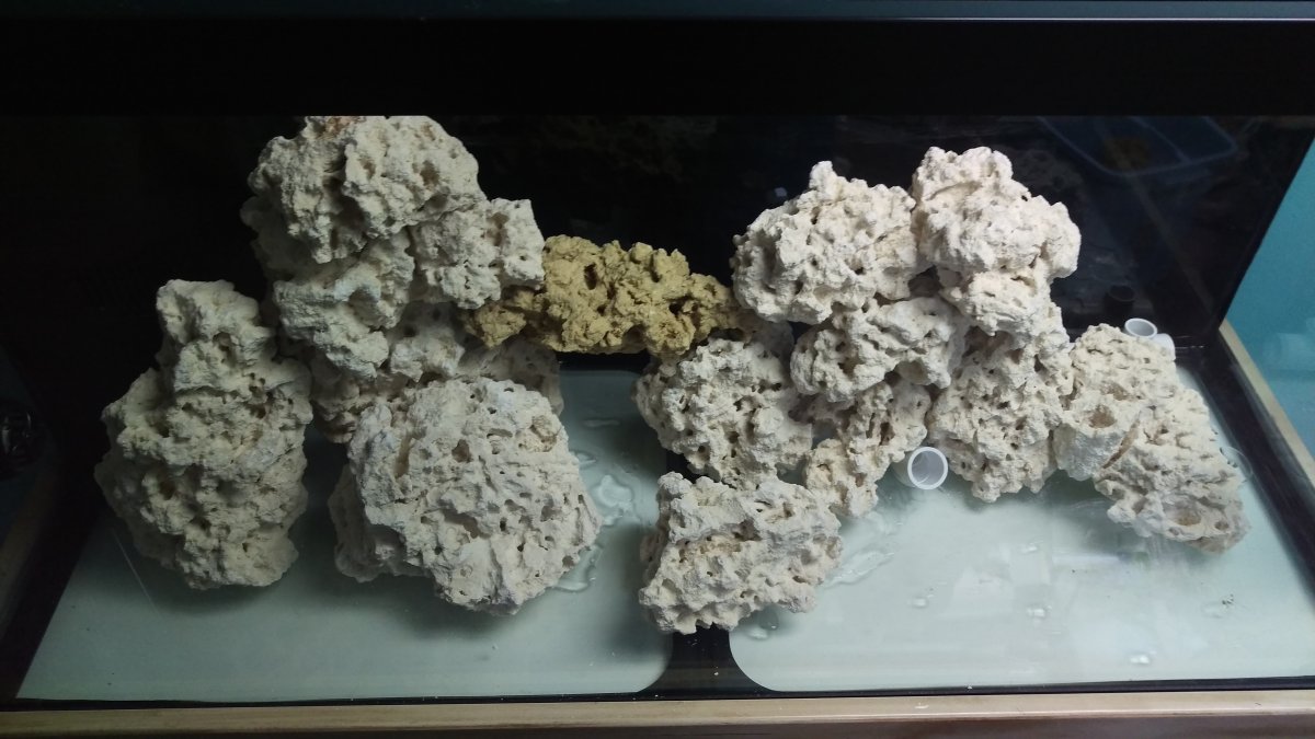 IMAG0046.jpg