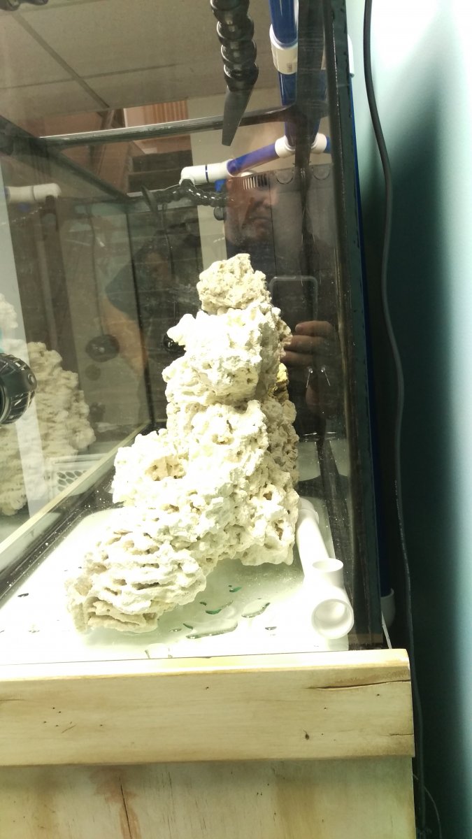 IMAG0047.jpg