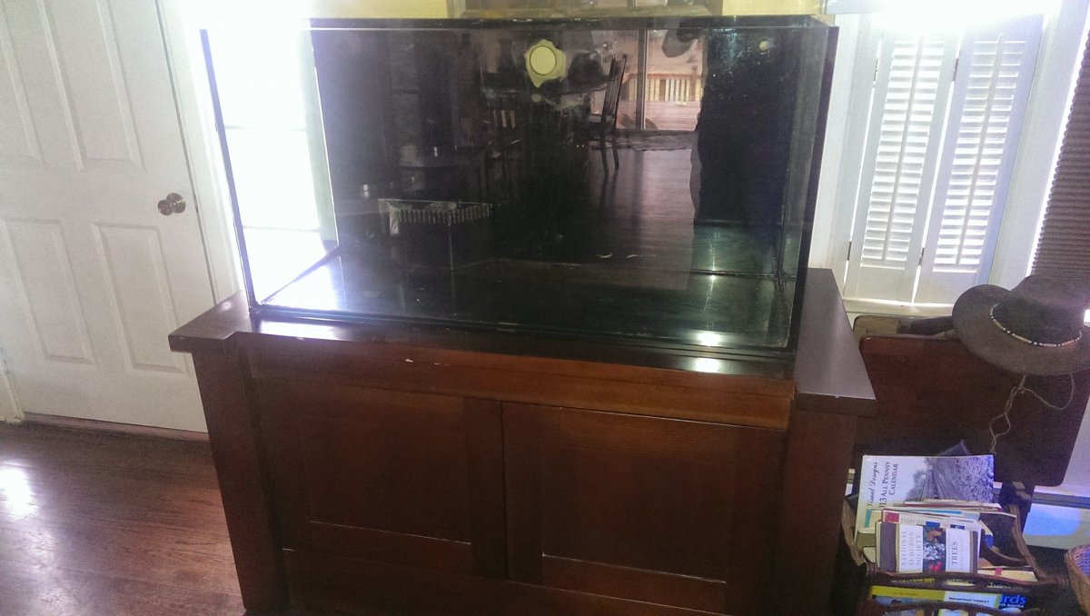 IMAG0048.jpg