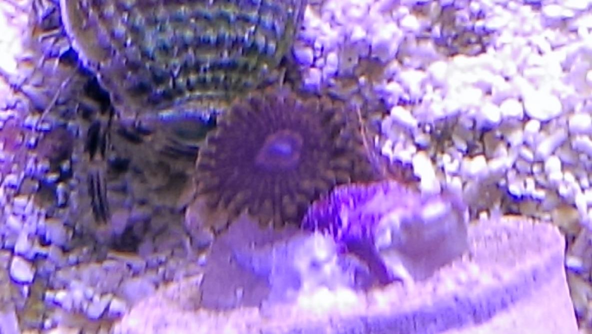 IMAG0054.jpg