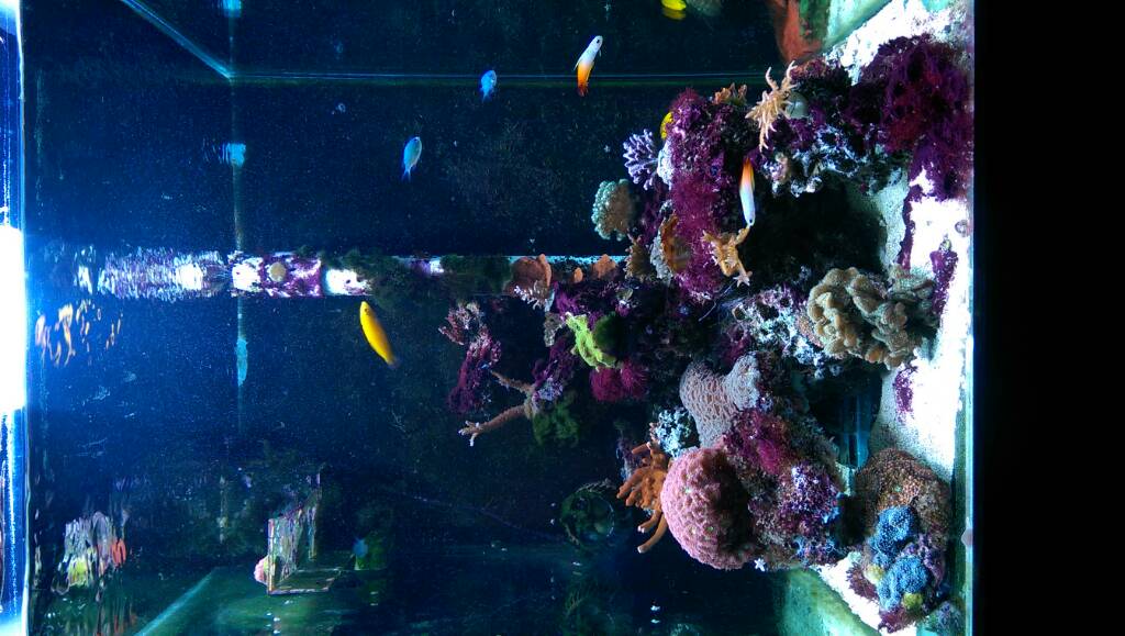 IMAG00552.jpg