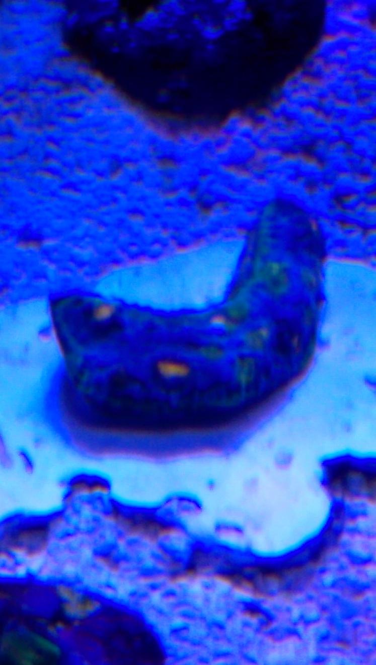 IMAG0057.jpg