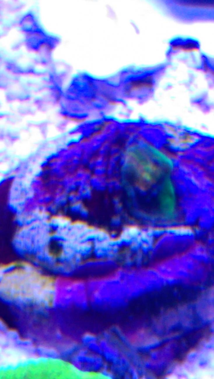 IMAG0059.jpg