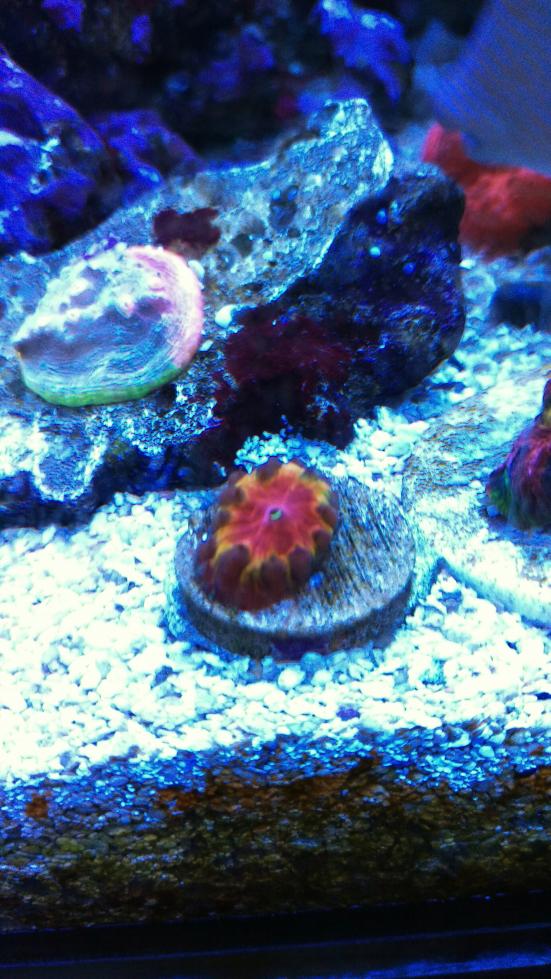 IMAG0059_2.jpg