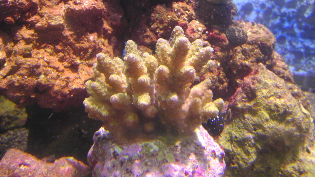 IMAG0061.jpg