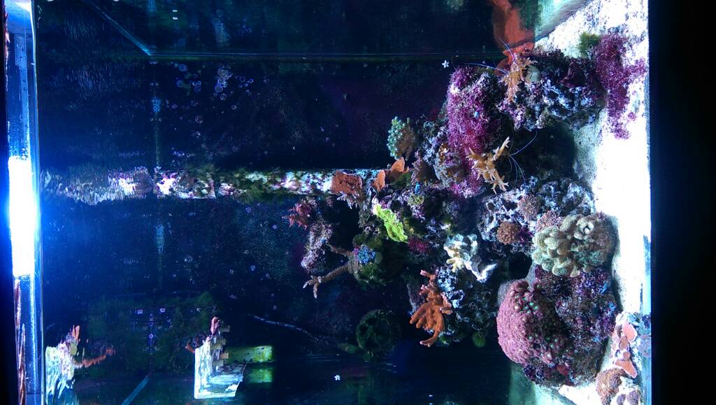 IMAG00652.jpg