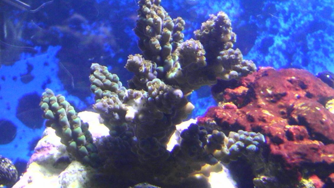 IMAG0068.jpg