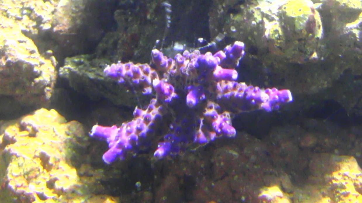 IMAG0071.jpg