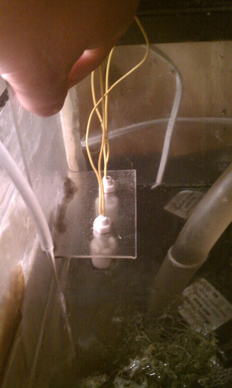 IMAG0072.jpg