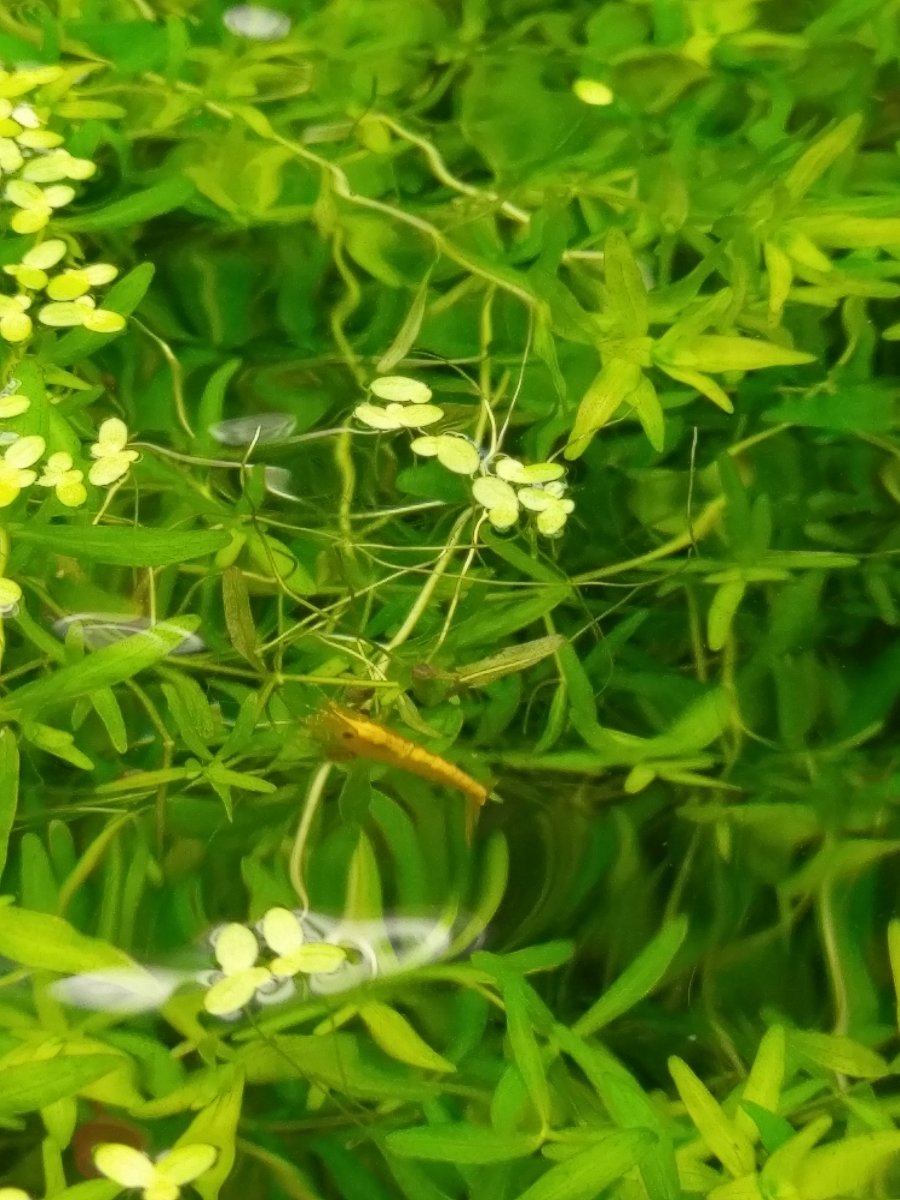 IMAG0072.jpg