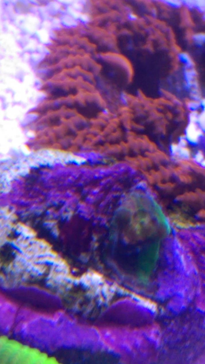 IMAG0075.jpg