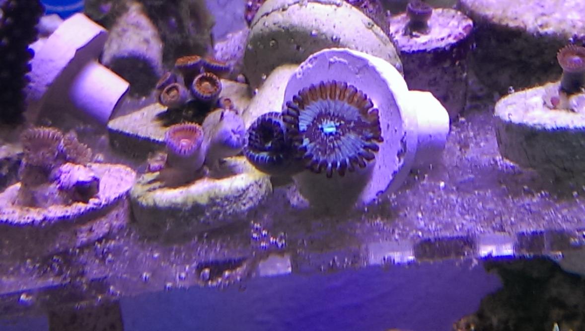 IMAG0083.jpg