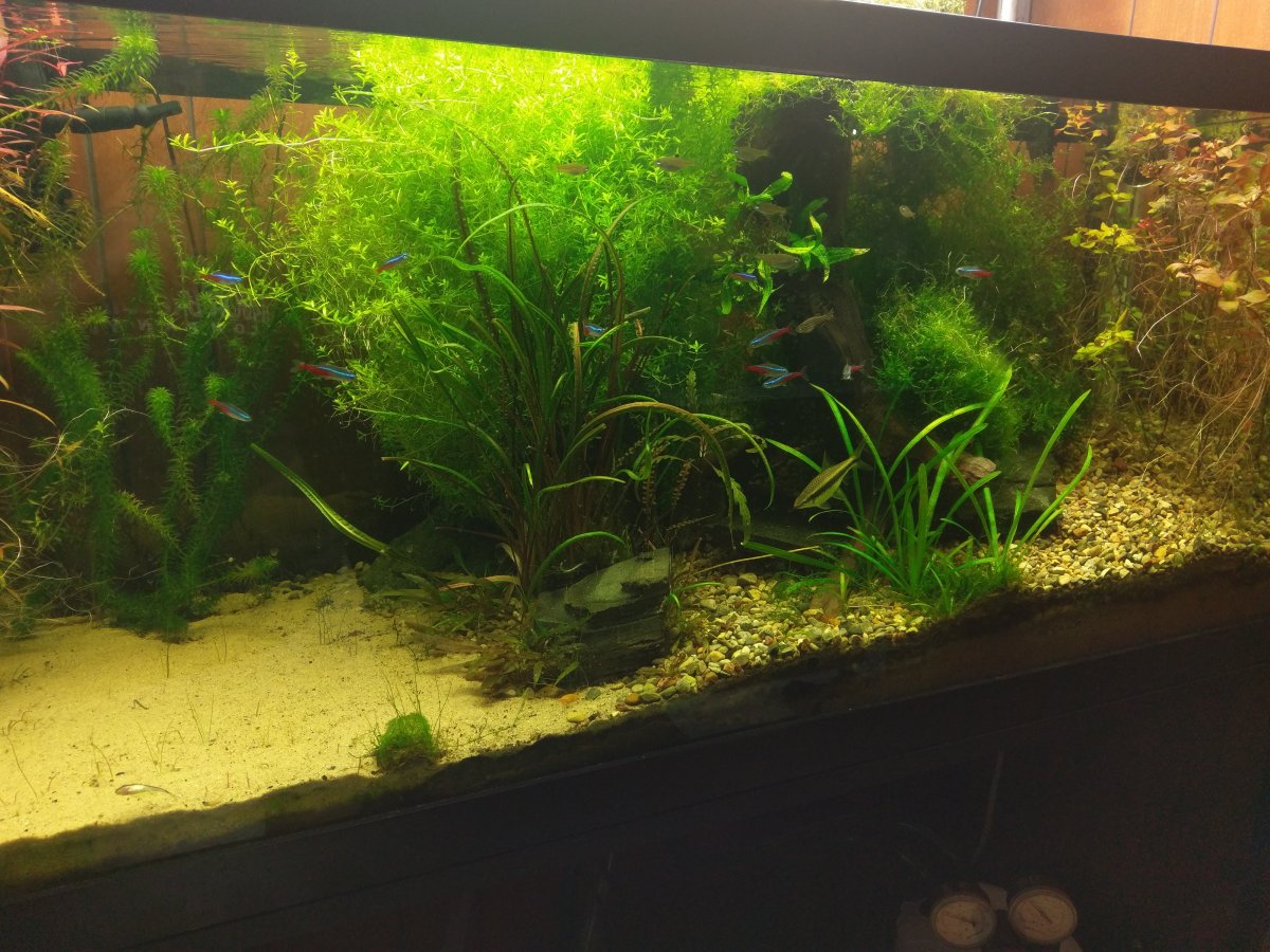 IMAG0086.jpg