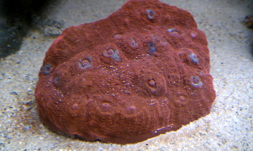 IMAG0093.jpg