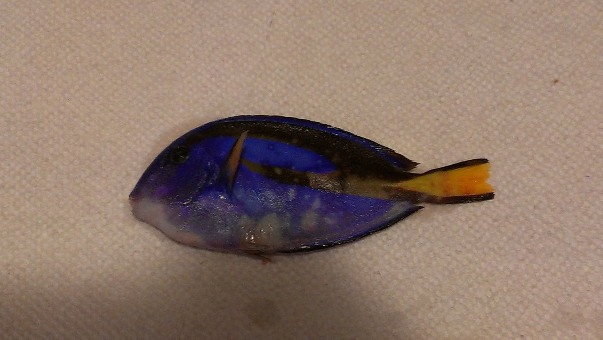 IMAG0094.jpg
