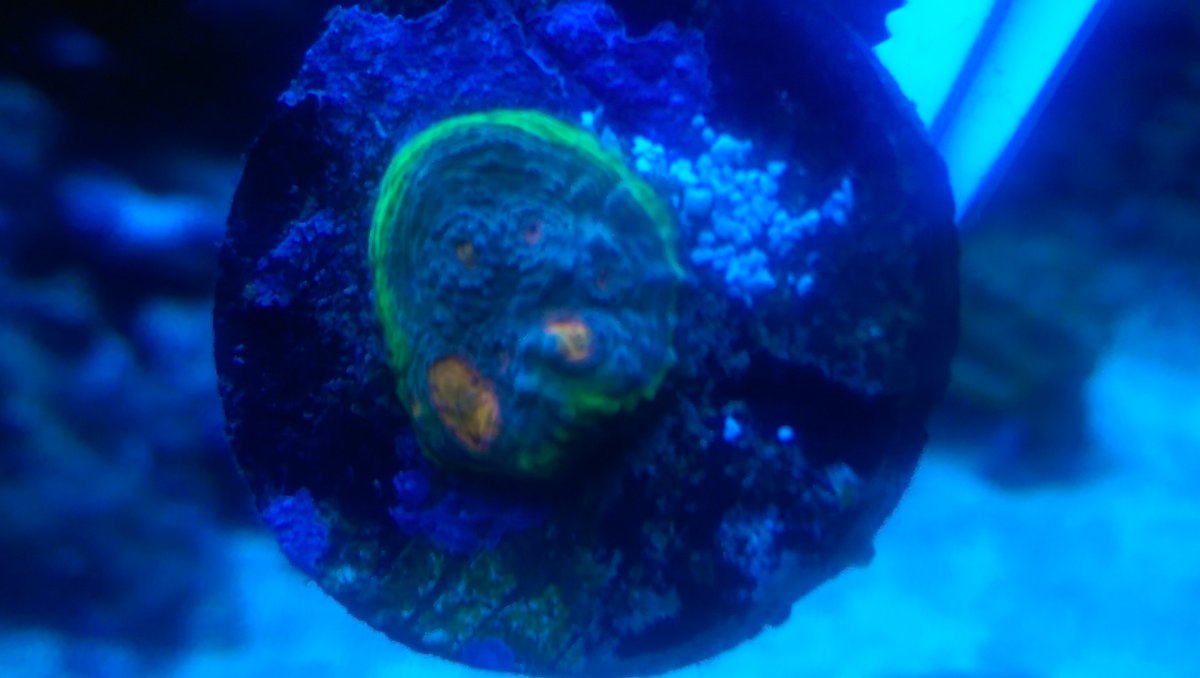IMAG0095.jpg