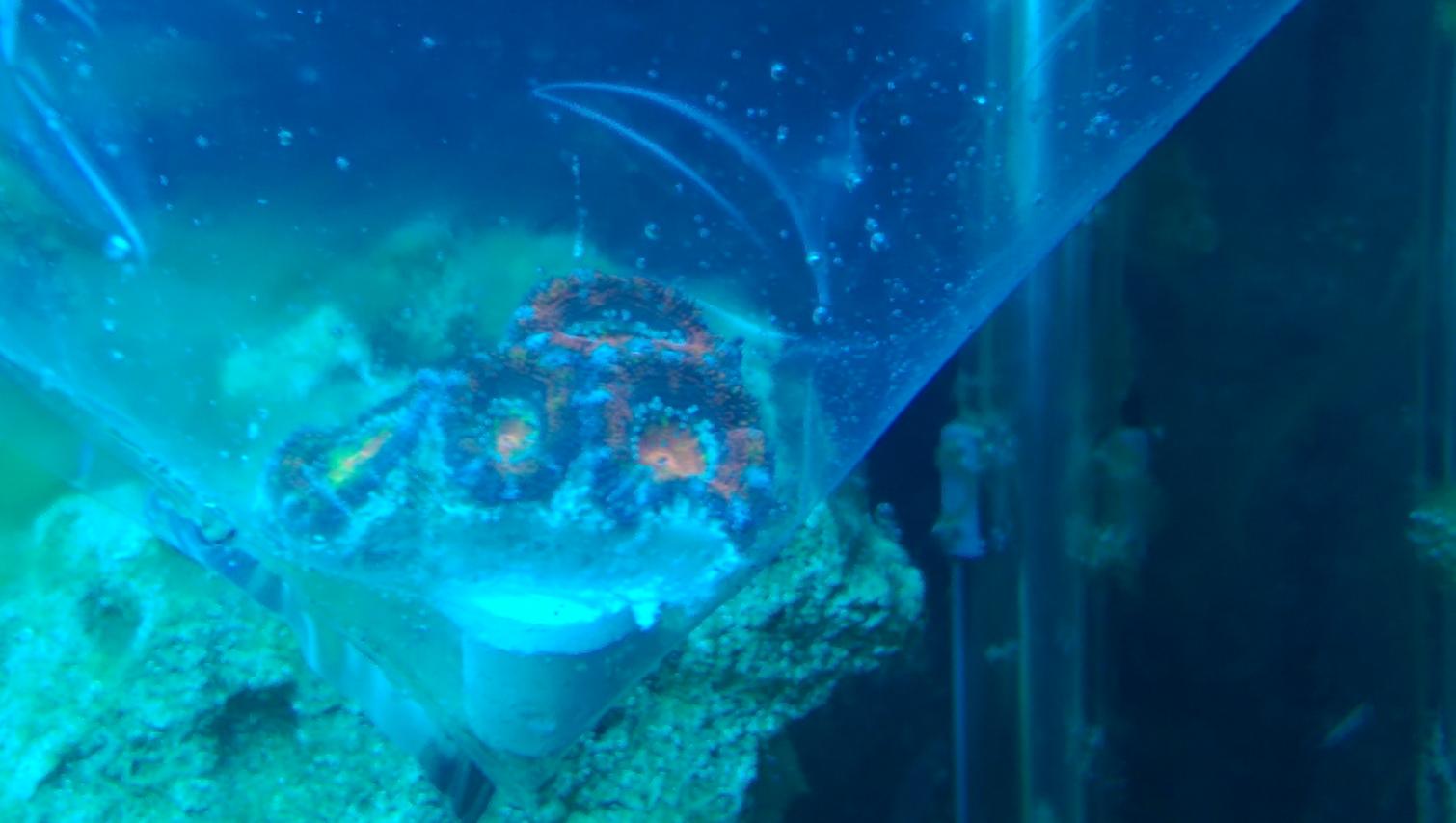 IMAG0097.jpg
