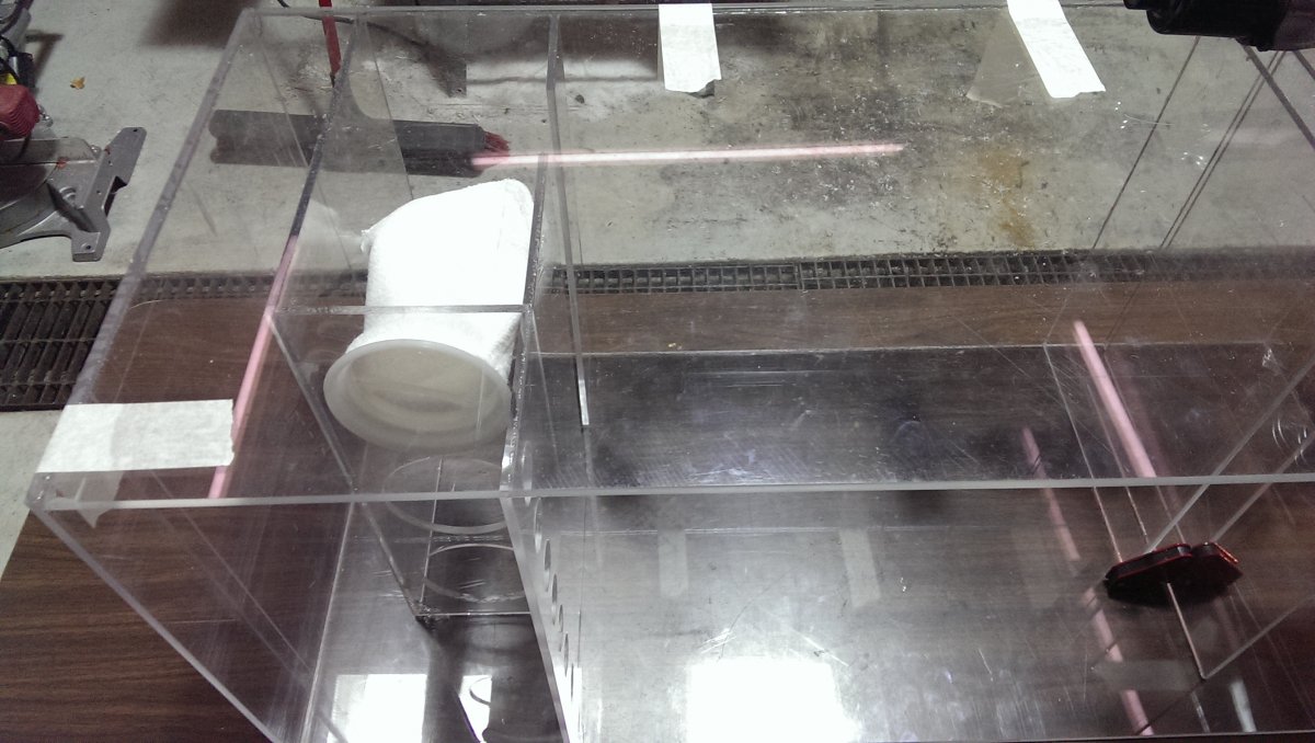 IMAG0100.jpg