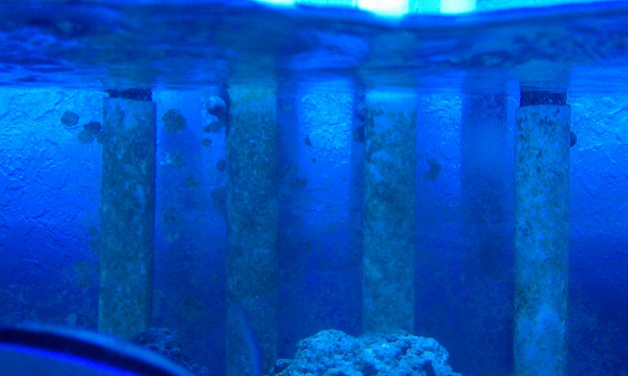 IMAG0104.jpg