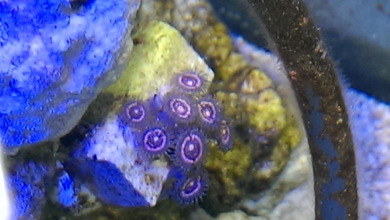 IMAG0105.jpg