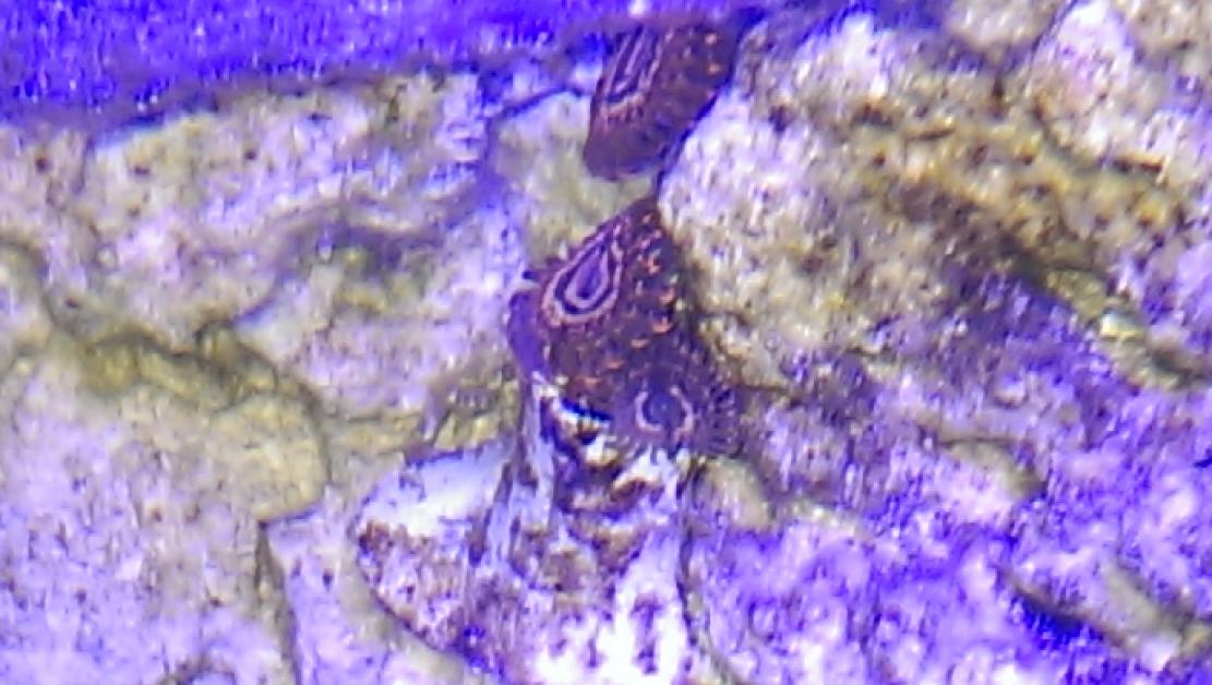 IMAG0107.jpg
