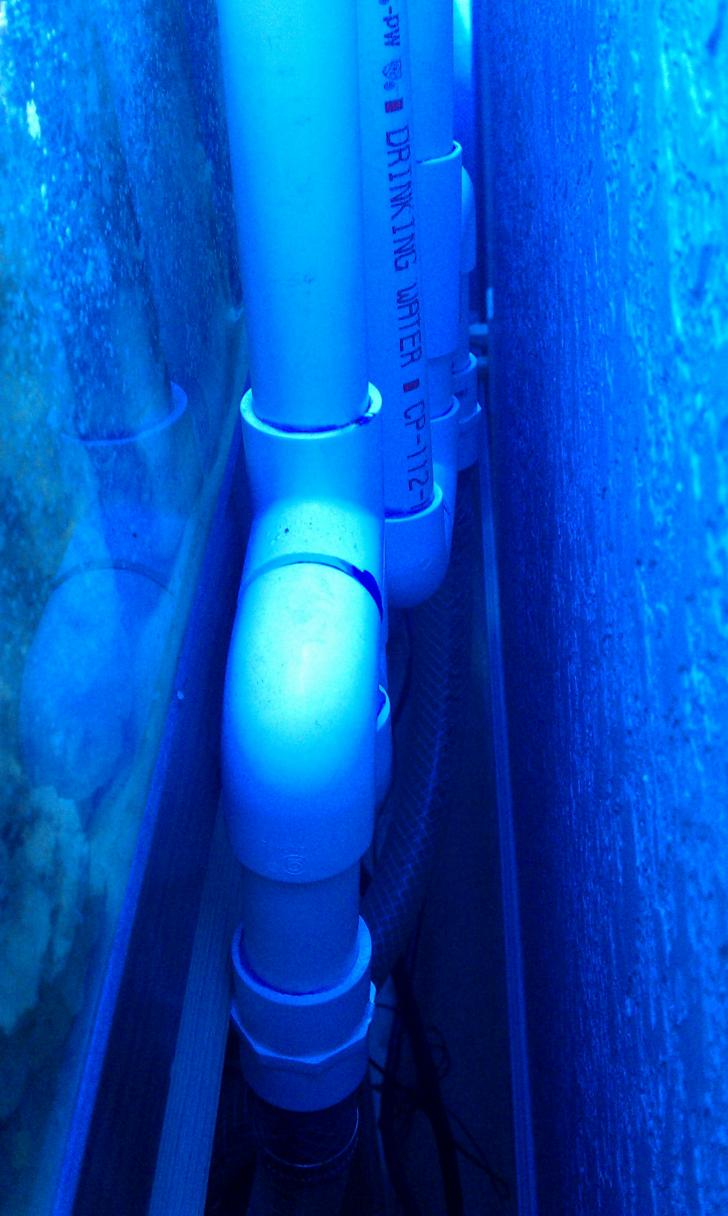 IMAG0107.jpg