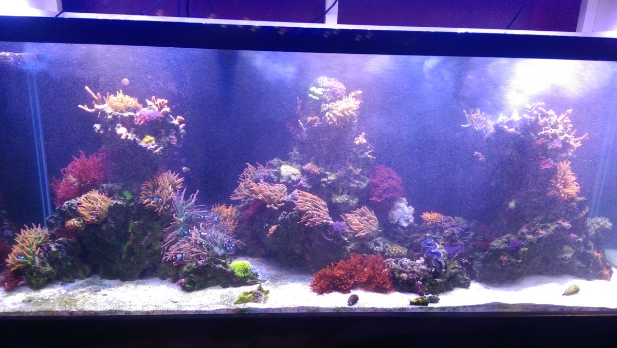 IMAG0117.jpg