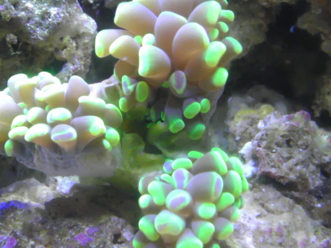 IMAG0120.jpg