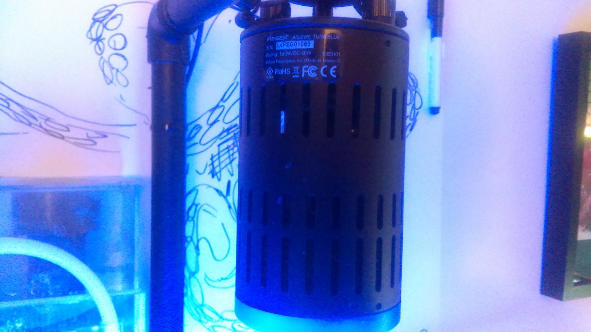IMAG0123.jpg