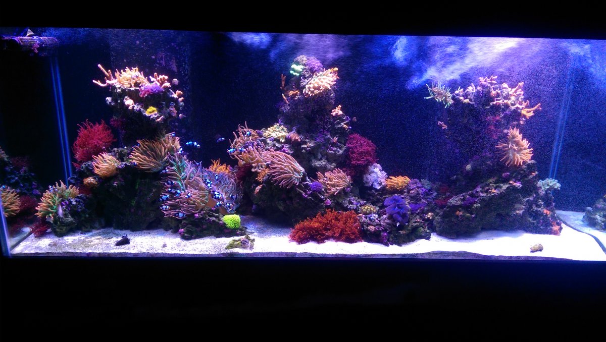 IMAG0123.jpg