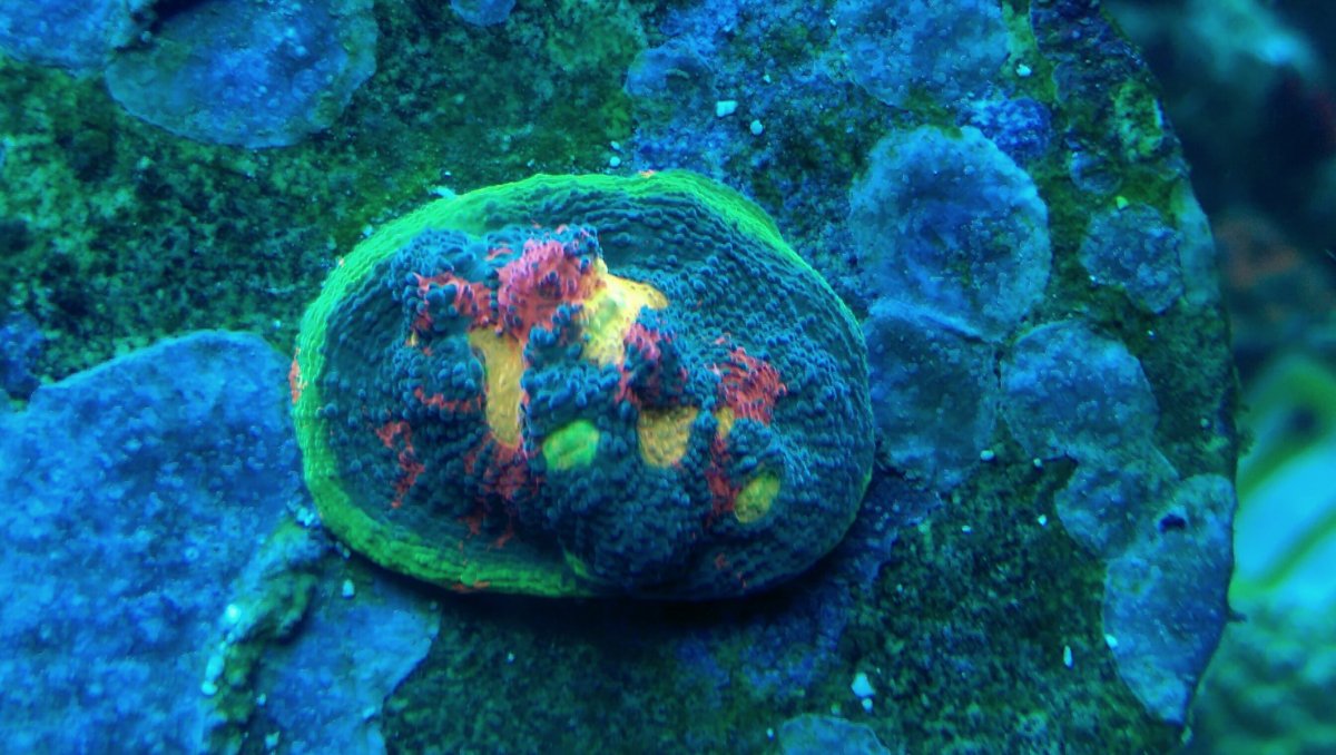 IMAG0123_1.jpg