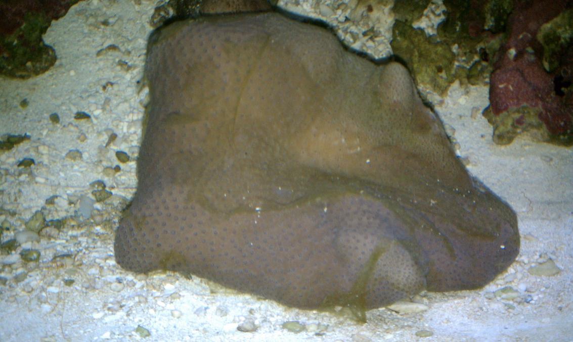 IMAG0126.jpg