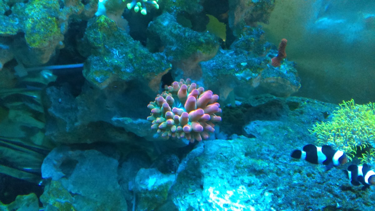 IMAG0129.jpg