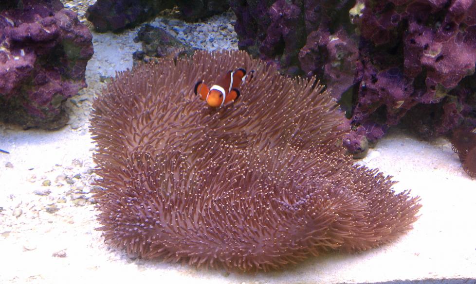 IMAG0132.jpg