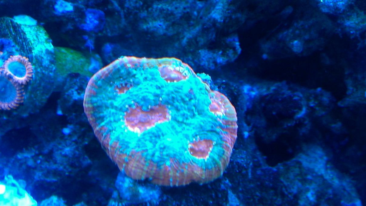 IMAG0133.jpg