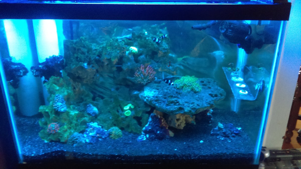 IMAG0134.jpg