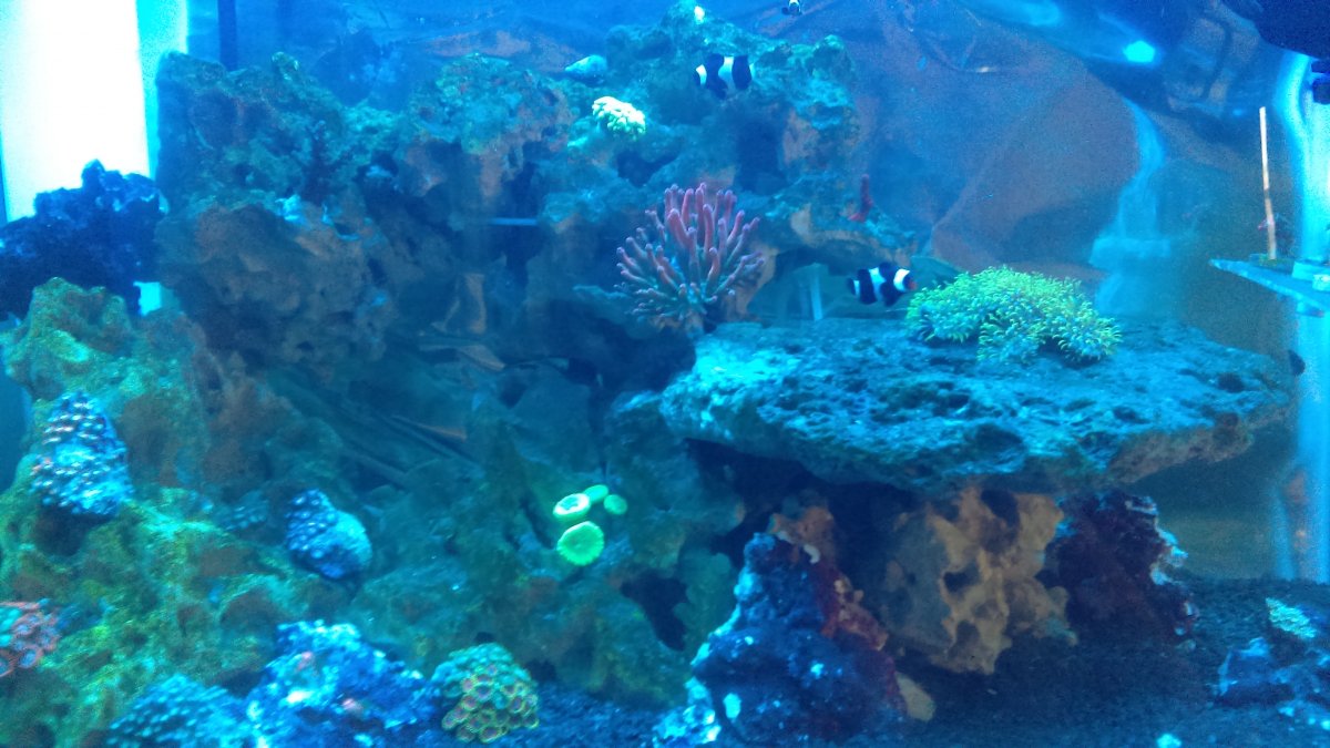 IMAG0136.jpg