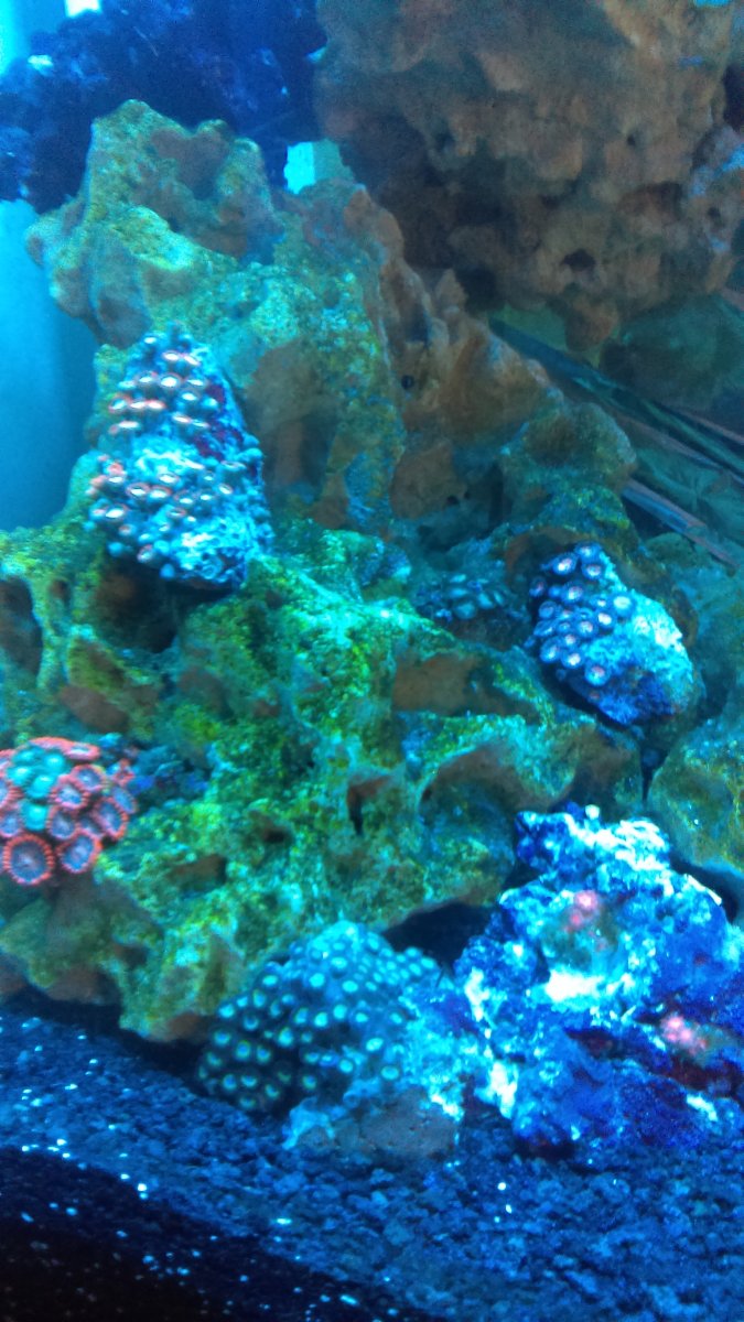 IMAG0137.jpg