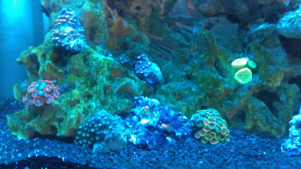 IMAG0138.jpg