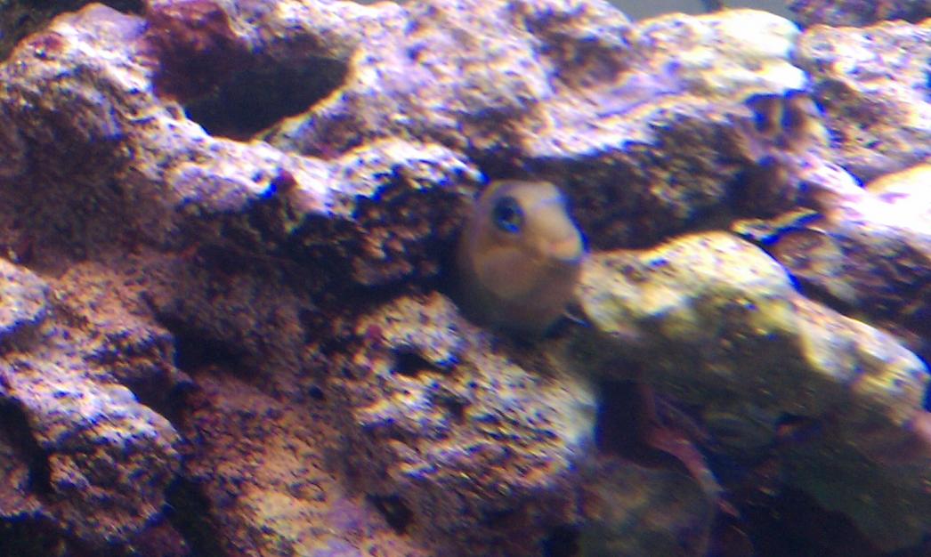 IMAG0139.jpg